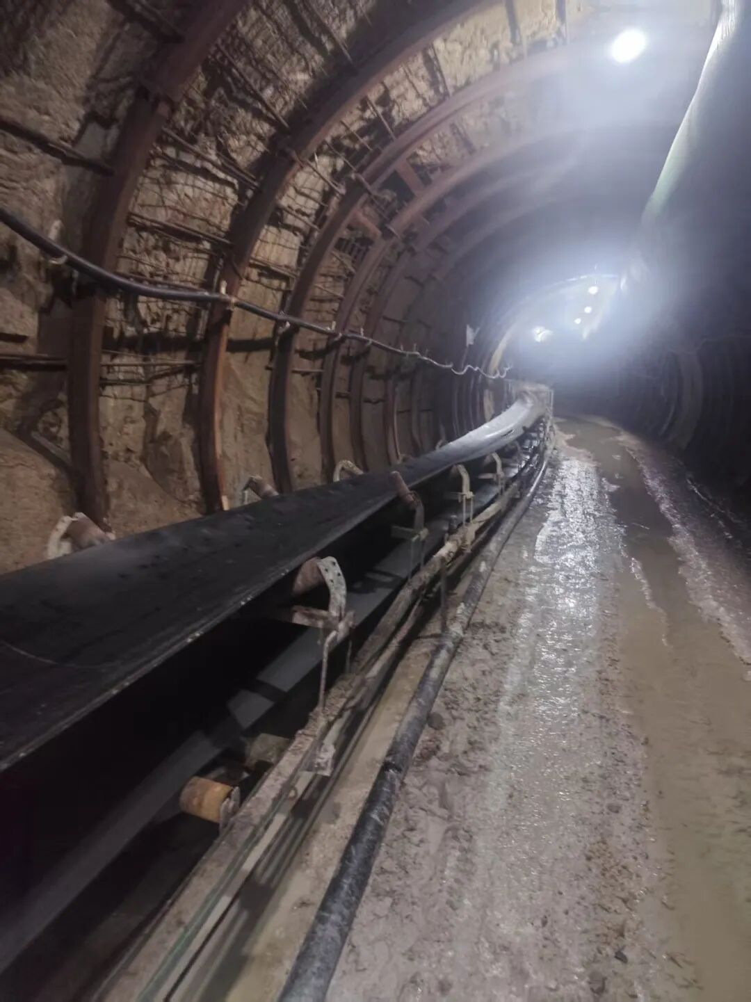 Anti-Tearing Belt Technology